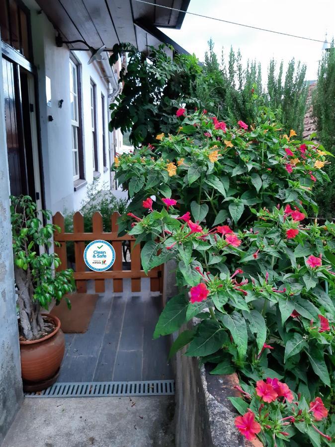 מירנדה דו קורבו Casa Do Sr. Falcao מראה חיצוני תמונה