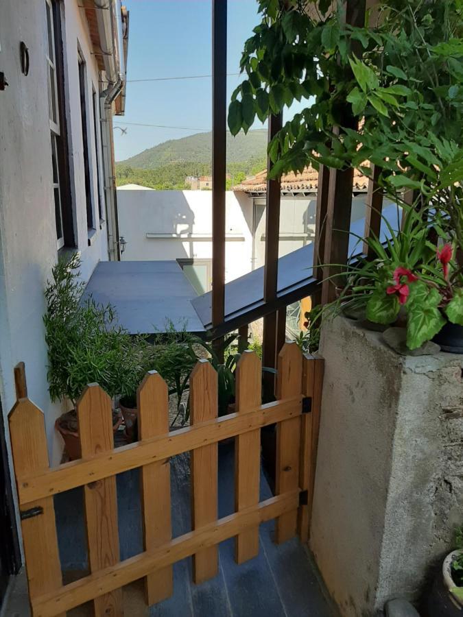 מירנדה דו קורבו Casa Do Sr. Falcao מראה חיצוני תמונה
