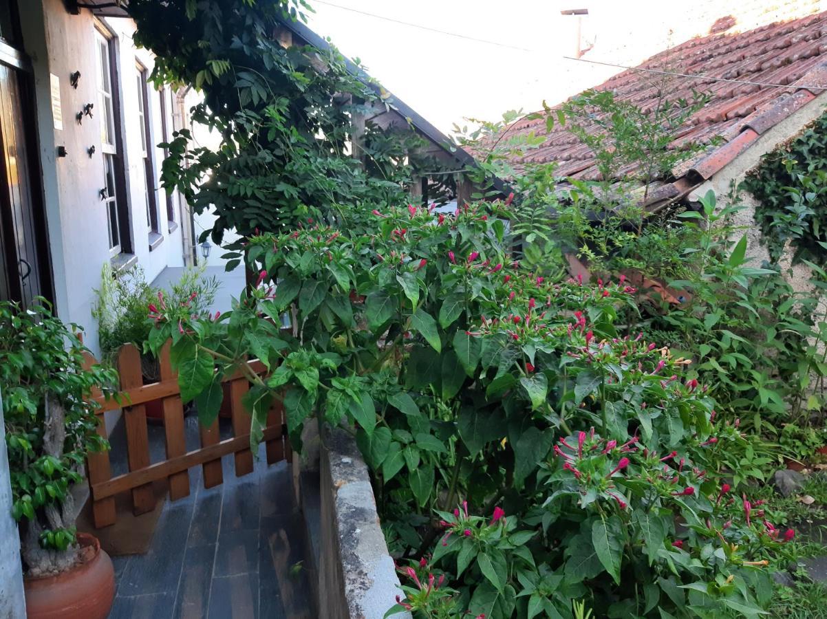 מירנדה דו קורבו Casa Do Sr. Falcao מראה חיצוני תמונה