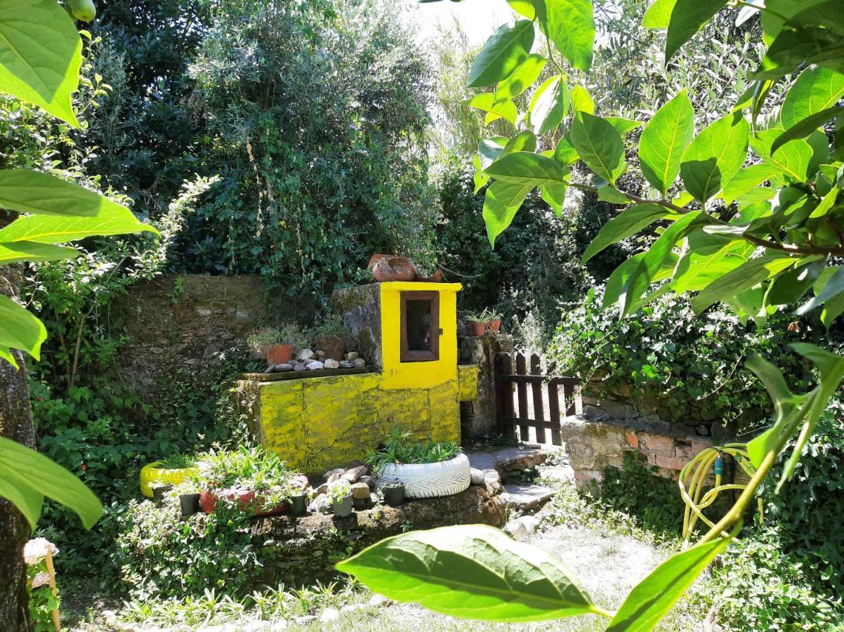 מירנדה דו קורבו Casa Do Sr. Falcao מראה חיצוני תמונה