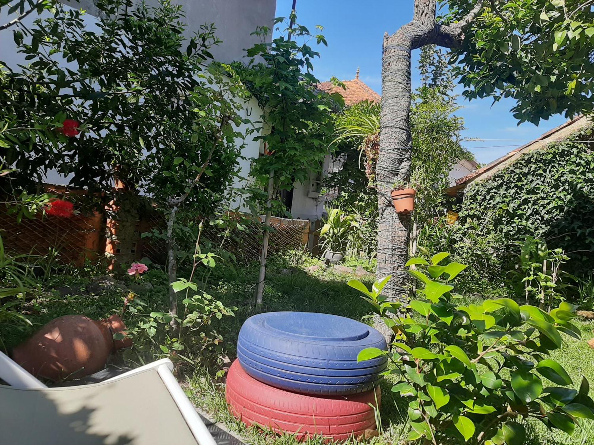 מירנדה דו קורבו Casa Do Sr. Falcao מראה חיצוני תמונה