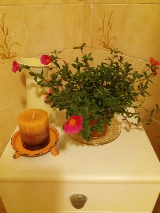 מירנדה דו קורבו Casa Do Sr. Falcao מראה חיצוני תמונה
